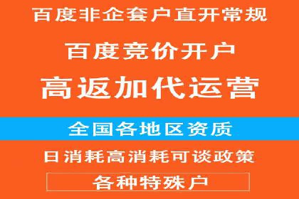 百度SEO推广成功案例：品牌知名度提升